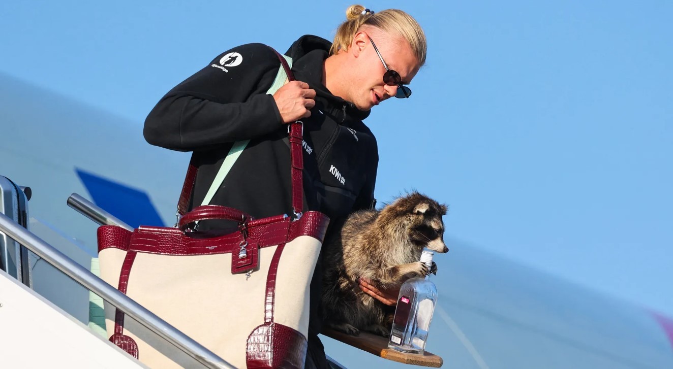 Erling Haaland bajando de un avión con un bolso y un mapache disecado